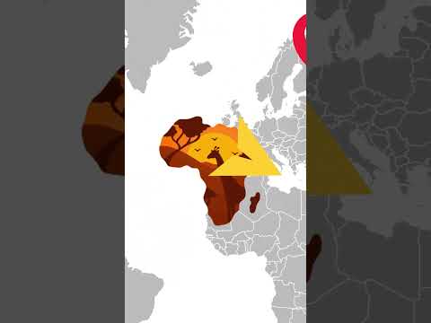 Video-First Journalism: the African Mail