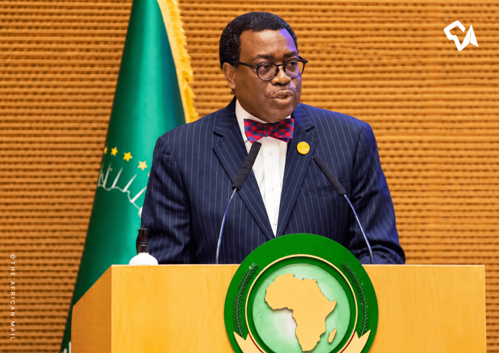 Adesina at the AU